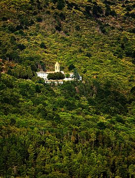 Italian hill with monastery