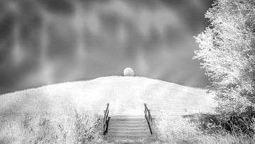 Gericht auf dem Alten Maashügel von Ad Van Koppen Fotografie