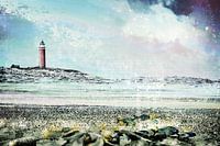 Texel Natur
