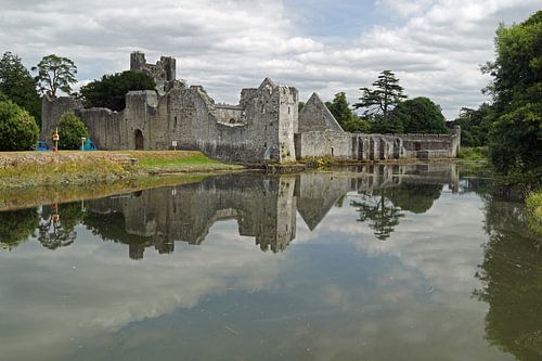 Desmond Castle ligt aan de rand van het dorp Adare