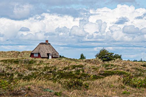 Scandinavisch landschap