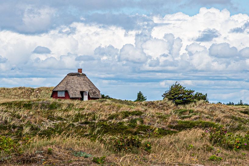 Scandinavian landscape by DTC Art