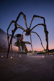 Guggenheim von Marvin Schweer