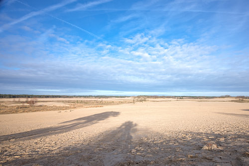 Zomers Licht over de Duinen