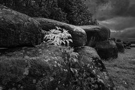 stones by Willem  Overkleeft