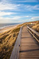 Sentier avec vue sur la mer à la falaise près de Wenningstedt, Sylt