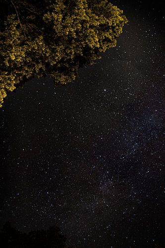 Sterren, België