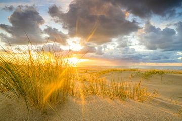 Texel beach sunset with sand dunes in the foreground by Sjoerd van der Wal Photography