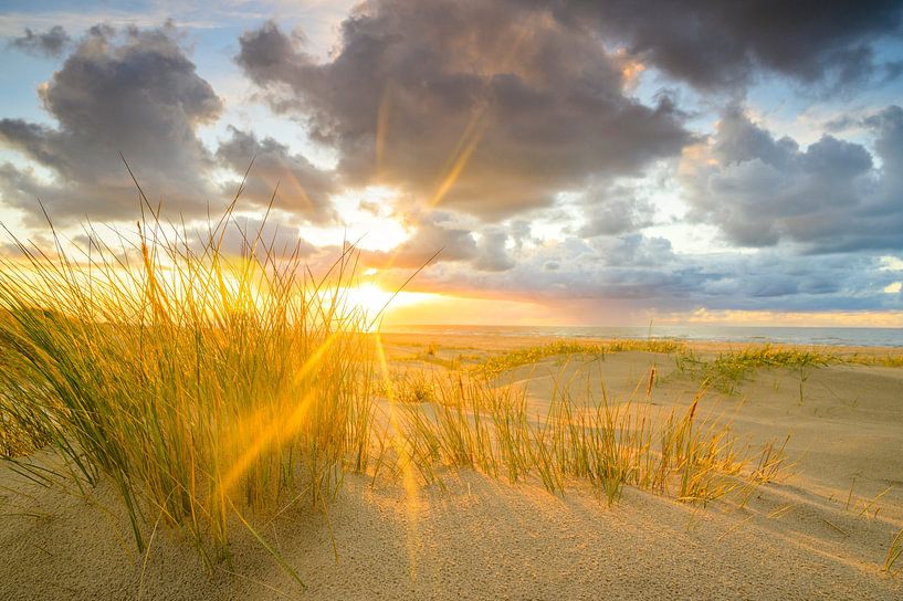 Sonnenuntergang am Strand von Texel mit Sanddünen im Vordergrund von Sjoerd van der Wal Fotografie