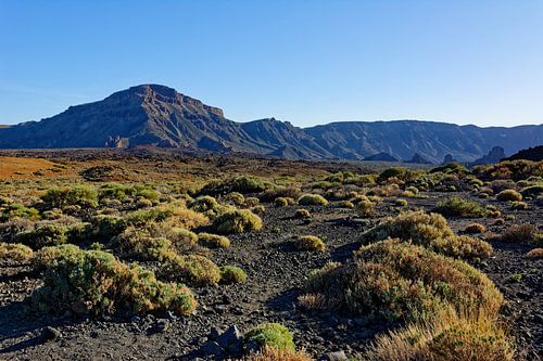 De uitgestrektheid van de Cañadas met de Alto de Guajara