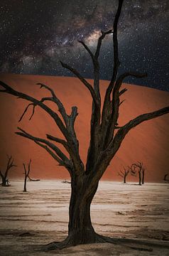 Deadvlei dans le désert du Namib, Sossusvlei, Namibie sur Patrick Groß