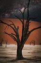 Deadvlei in the Namib Desert, Sossusvlei, Namibia by Patrick Groß thumbnail