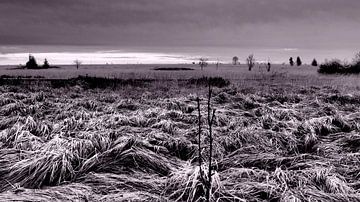 Hautes des Fagnes by Twan van G.