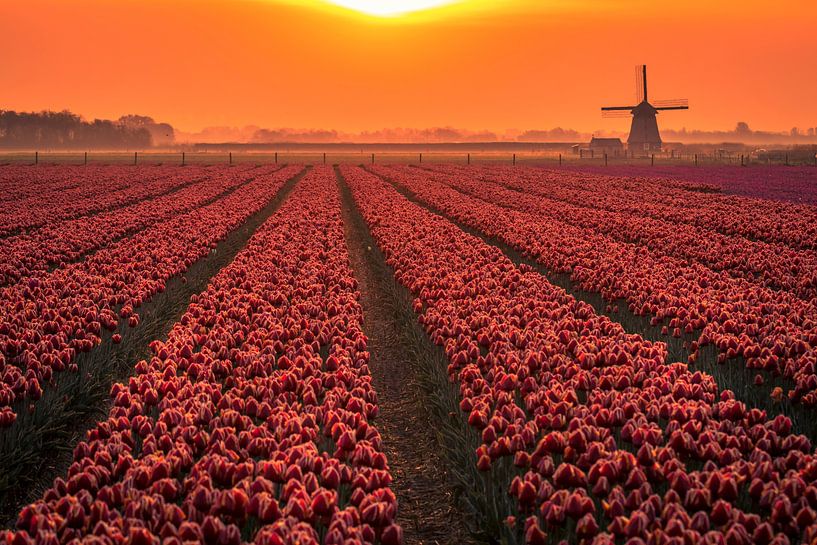 red sky by peterheinspictures