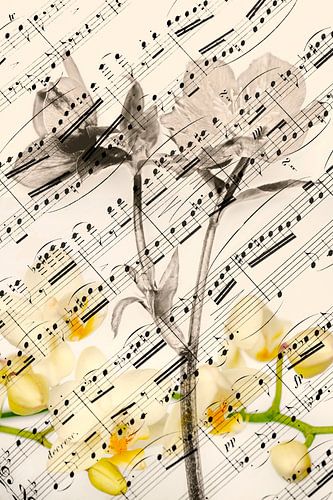 chanson de printemps