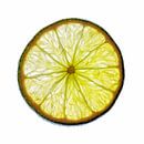 Nahaufnahme einer Limettenscheibe mit weißem Hintergrund. von Carola Schellekens Miniaturansicht