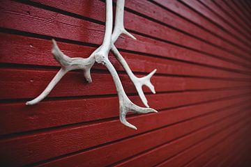 Bois de renne sur une maison en bois rouge