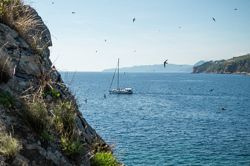 A summer sailing boat surrounded by swallows