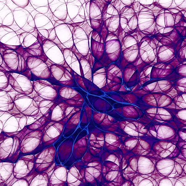 Blackberrycomb by Georgia Chagas