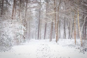 Winter Wonderland van Connie de Graaf