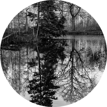 In de spiegel van José Verstegen