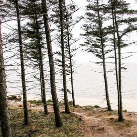 Les arbres au bord de la mer sur Jasmijn Visser