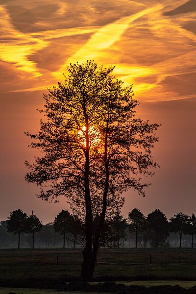 Coucher de soleil Holten Overijssel, printemps par Frank Slaghuis