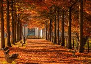 Herfst in Simpelveld van John Kreukniet thumbnail