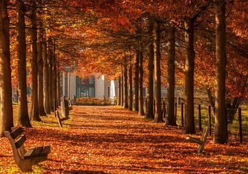 Herfst in Simpelveld von John Kreukniet