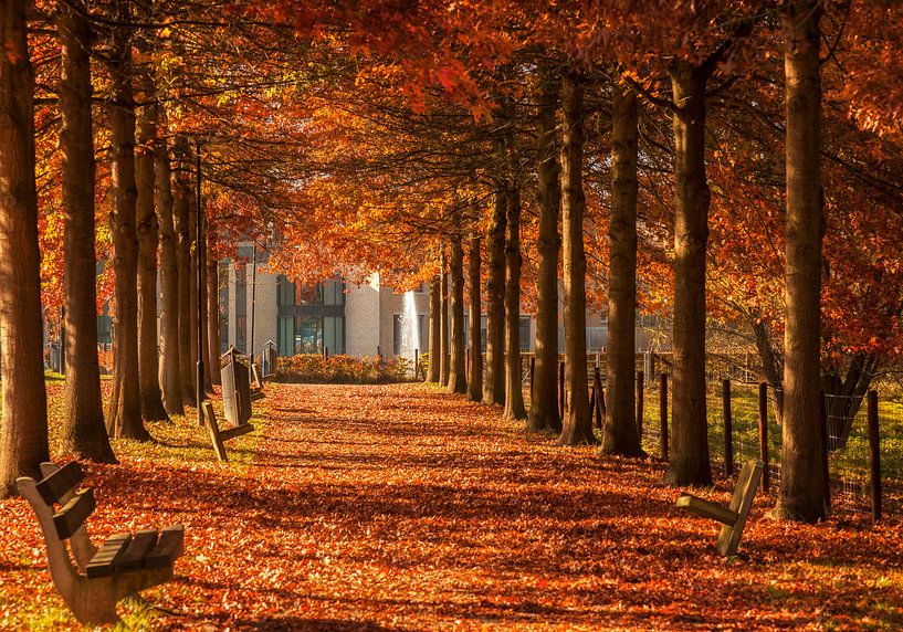 Herfst in Simpelveld van John Kreukniet