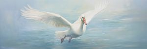 Eleganter Schwan