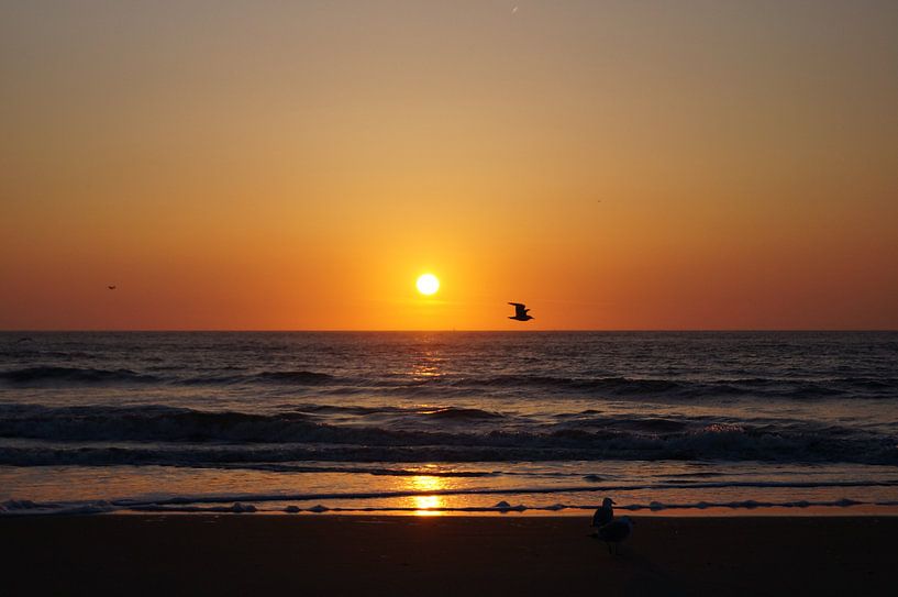 Sunset by Andrea Ooms