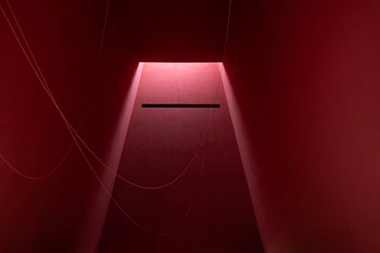 Zwischen Rot und Licht