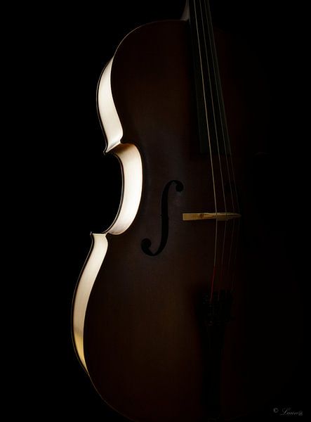 Curves by Pavlina Luuna Scherrer