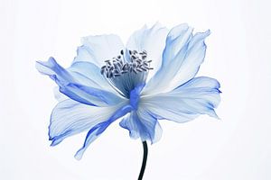 Blaue Blume von Thea