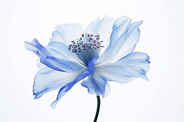 Blauwe bloem van Thea