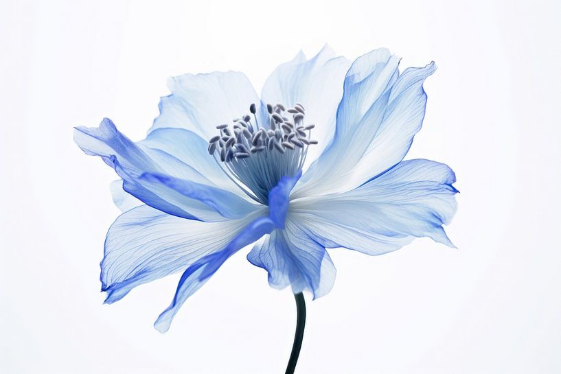 Blaue Blume von Thea
