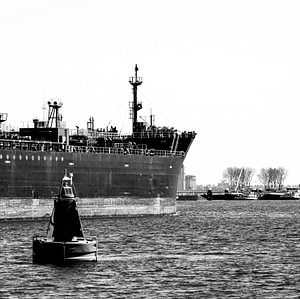 Seeschiffe auf dem Weg in den Hafen von Rotterdam.