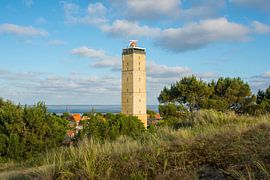 The Brandaris by Douwe Schut