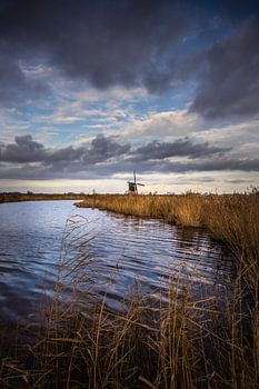 Die Broekmolen in der goldenen Stunde