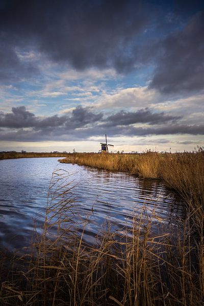 The Broekmolen in the golden hour by Viocida