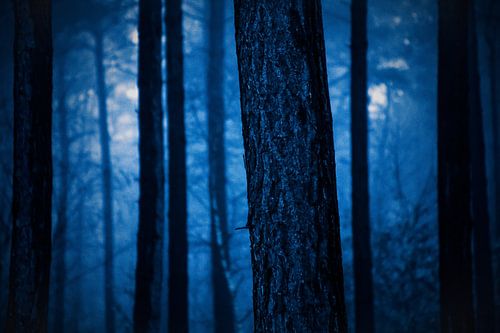 Stimmungsvolle Aufnahme