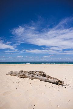 Nelson Bay: Een Kustparel in New South Wales van Ken Tempelers