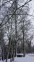 Sneeuwseizoen