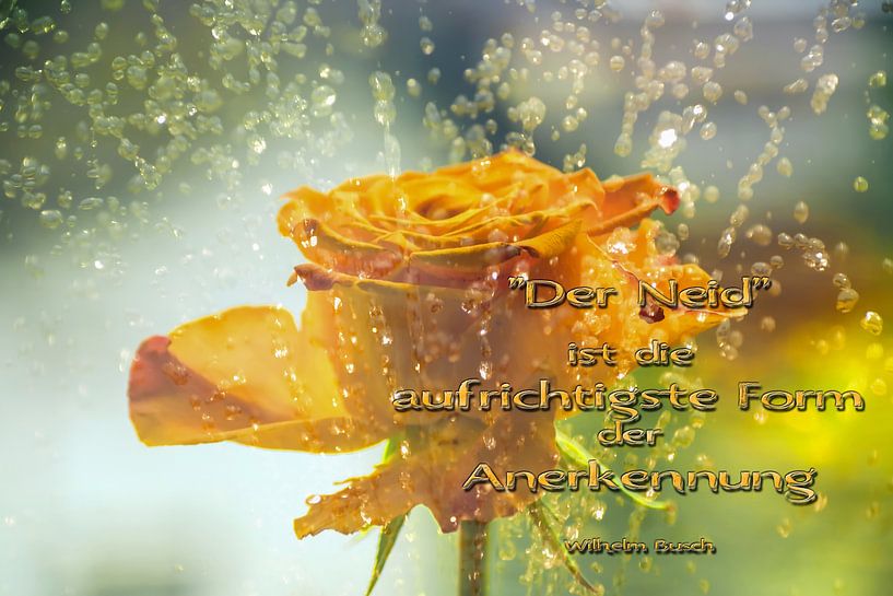 Sayings - Envy is......... by Christine Nöhmeier