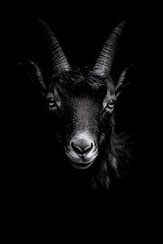 Goat by Poster Art Shop