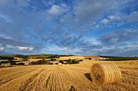 Schotland, een hooiland  aan de kust