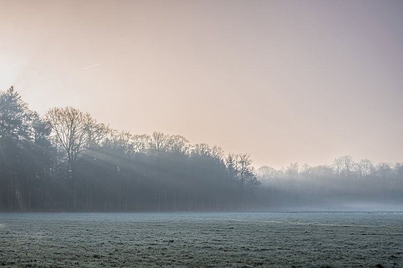 Staverden estate part 7 by Tania Perneel