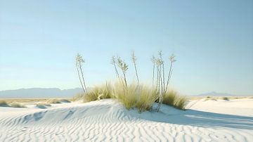 white sands national monument van PixelPrestige