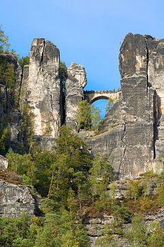 Bastei tussen de rotsen in Saksisch Zwitserland van Heiko Kueverling